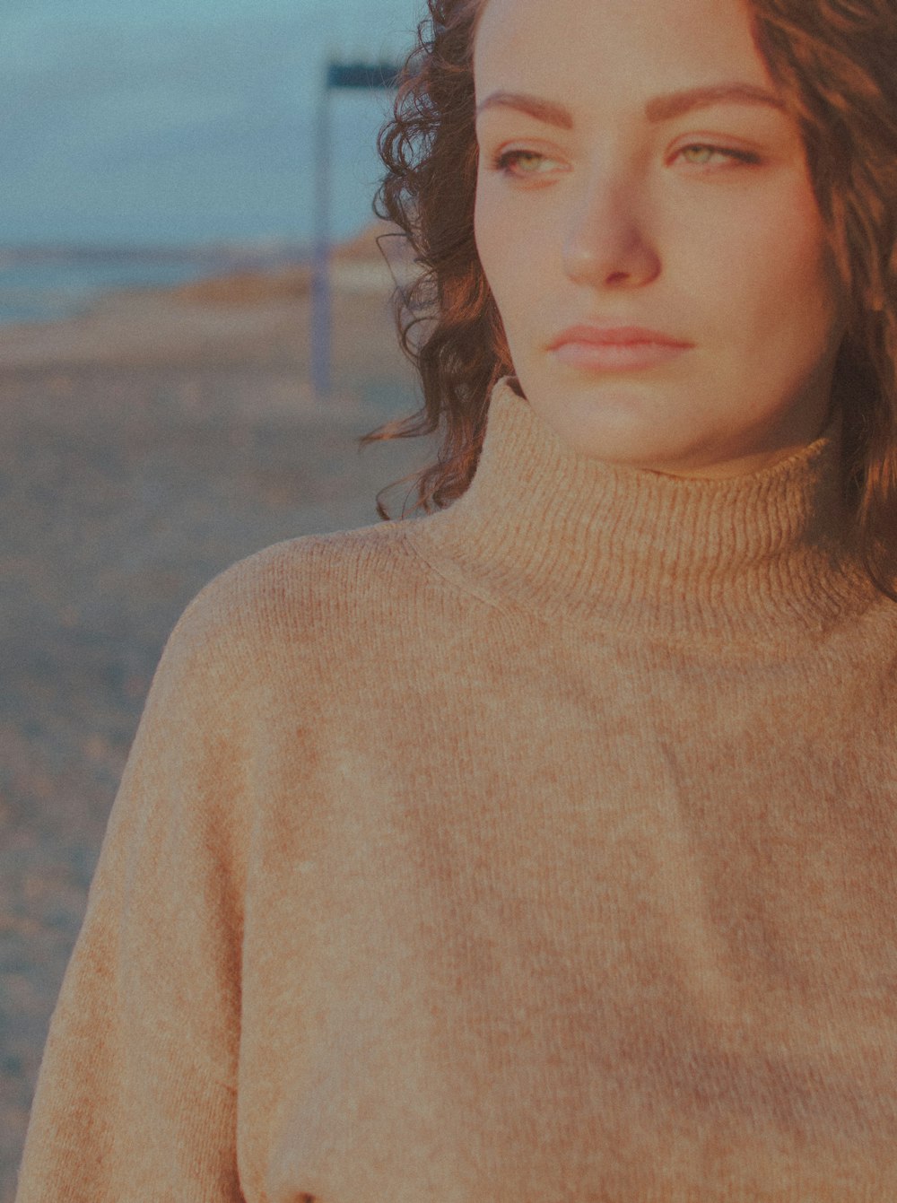 woman in beige turtleneck sweater