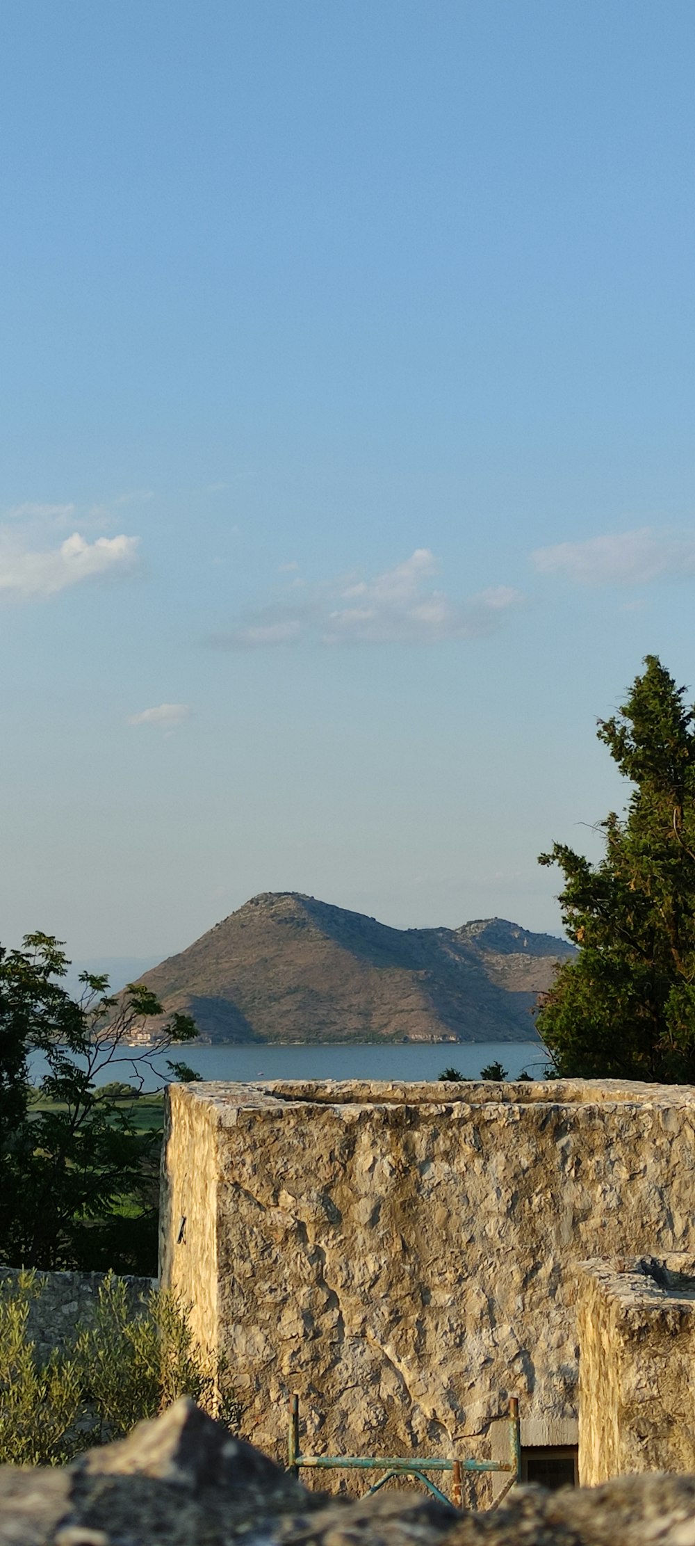 green trees near body of water during daytime