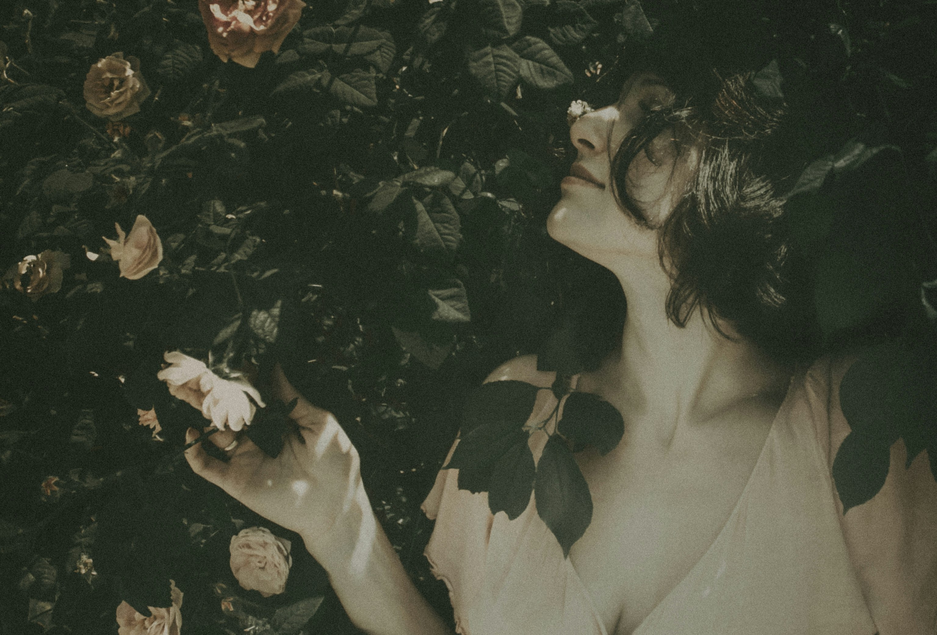 woman in white dress holding white flower