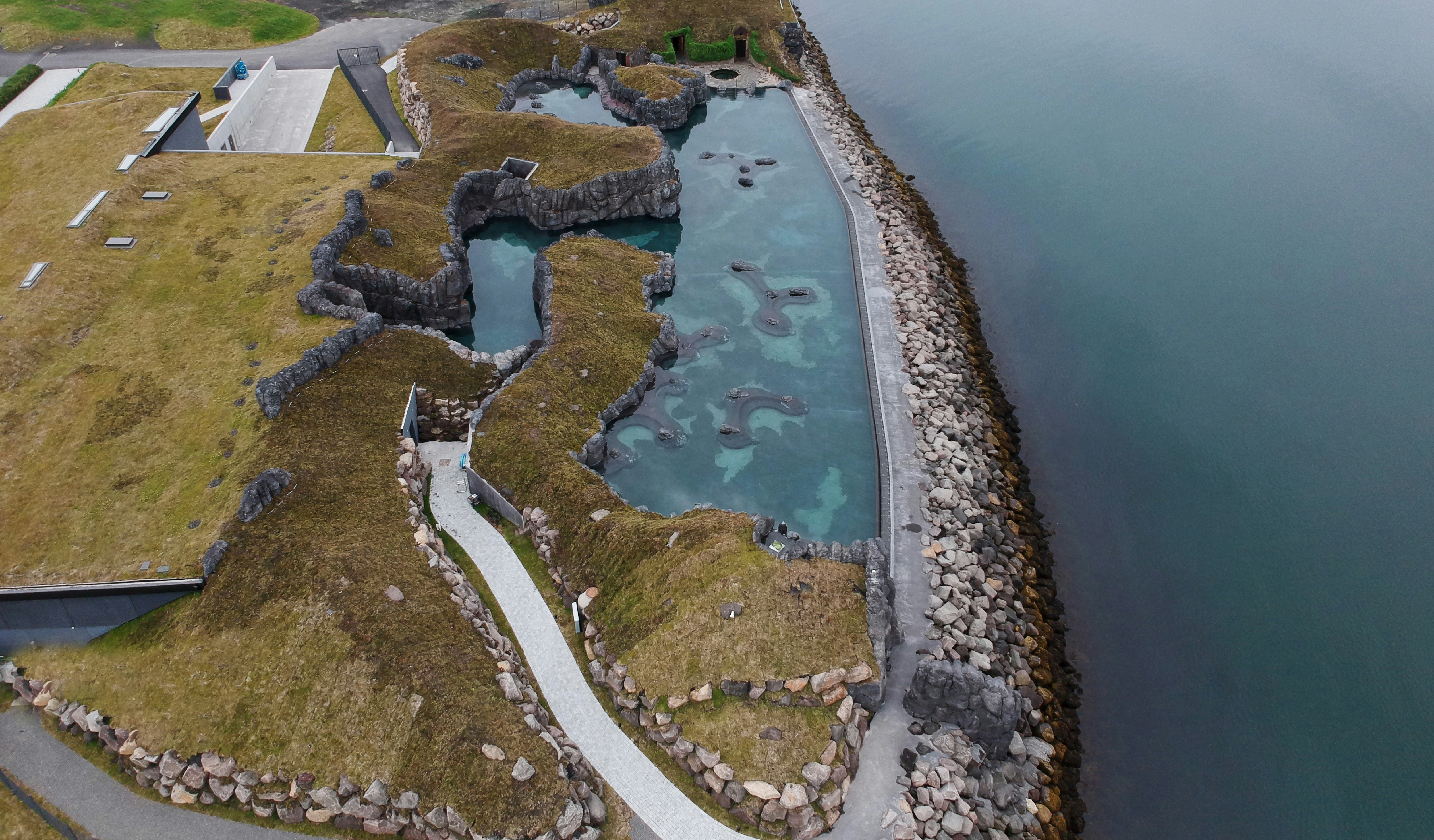 aerial view of green trees and body of water during daytime