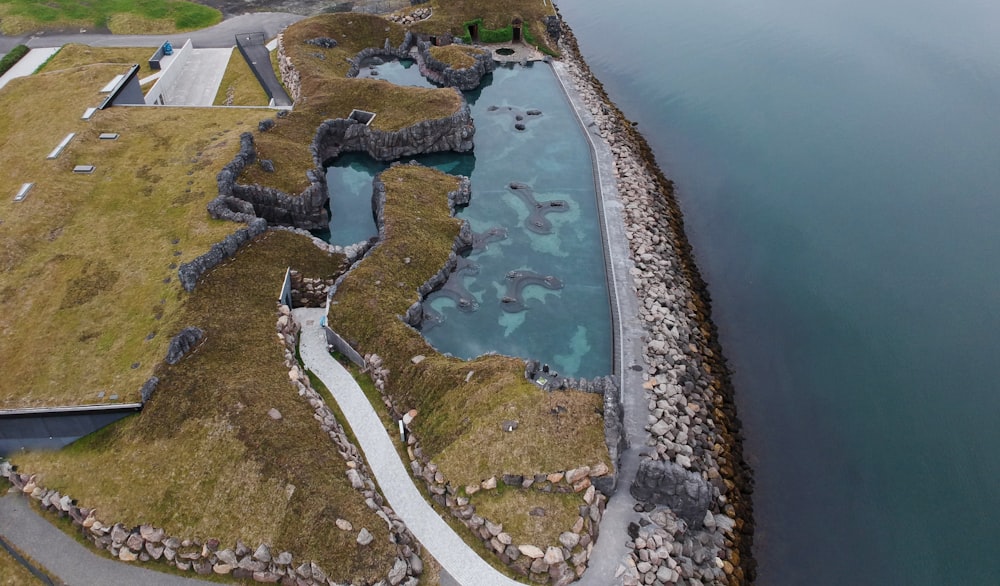 aerial view of green trees and body of water during daytime