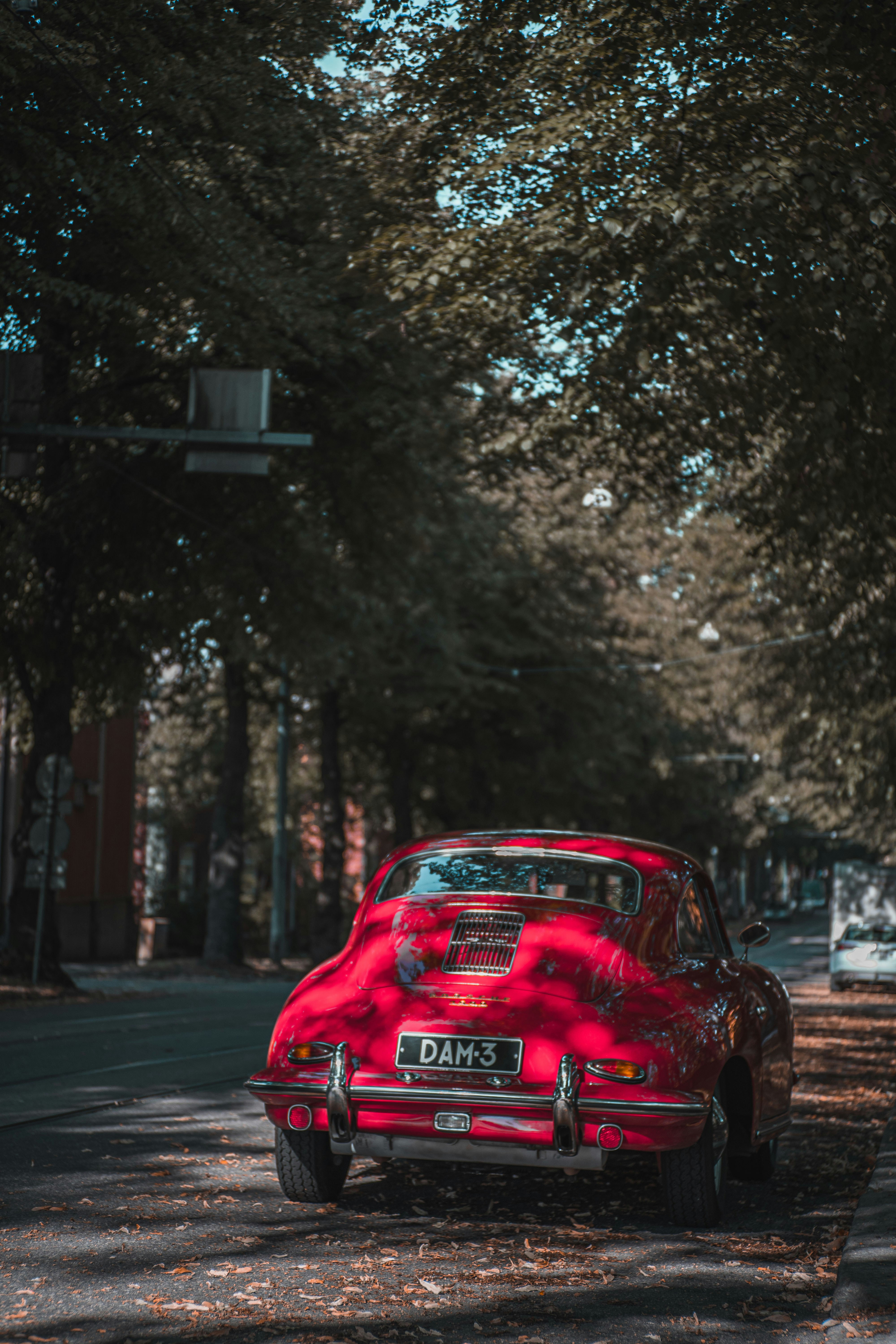 Photo by vadikfi