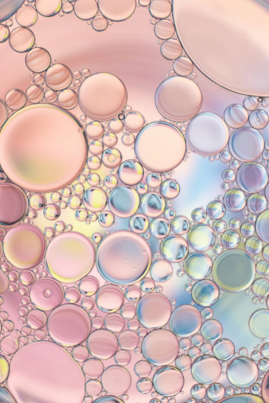 pink and white bubbles illustration