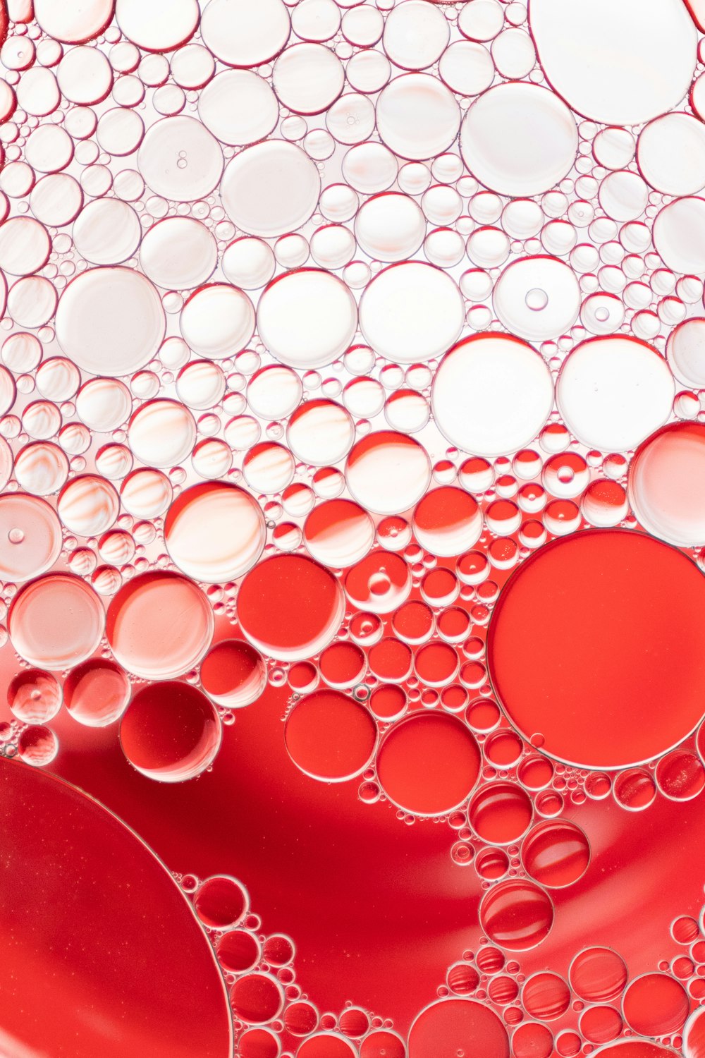 red and white water droplets