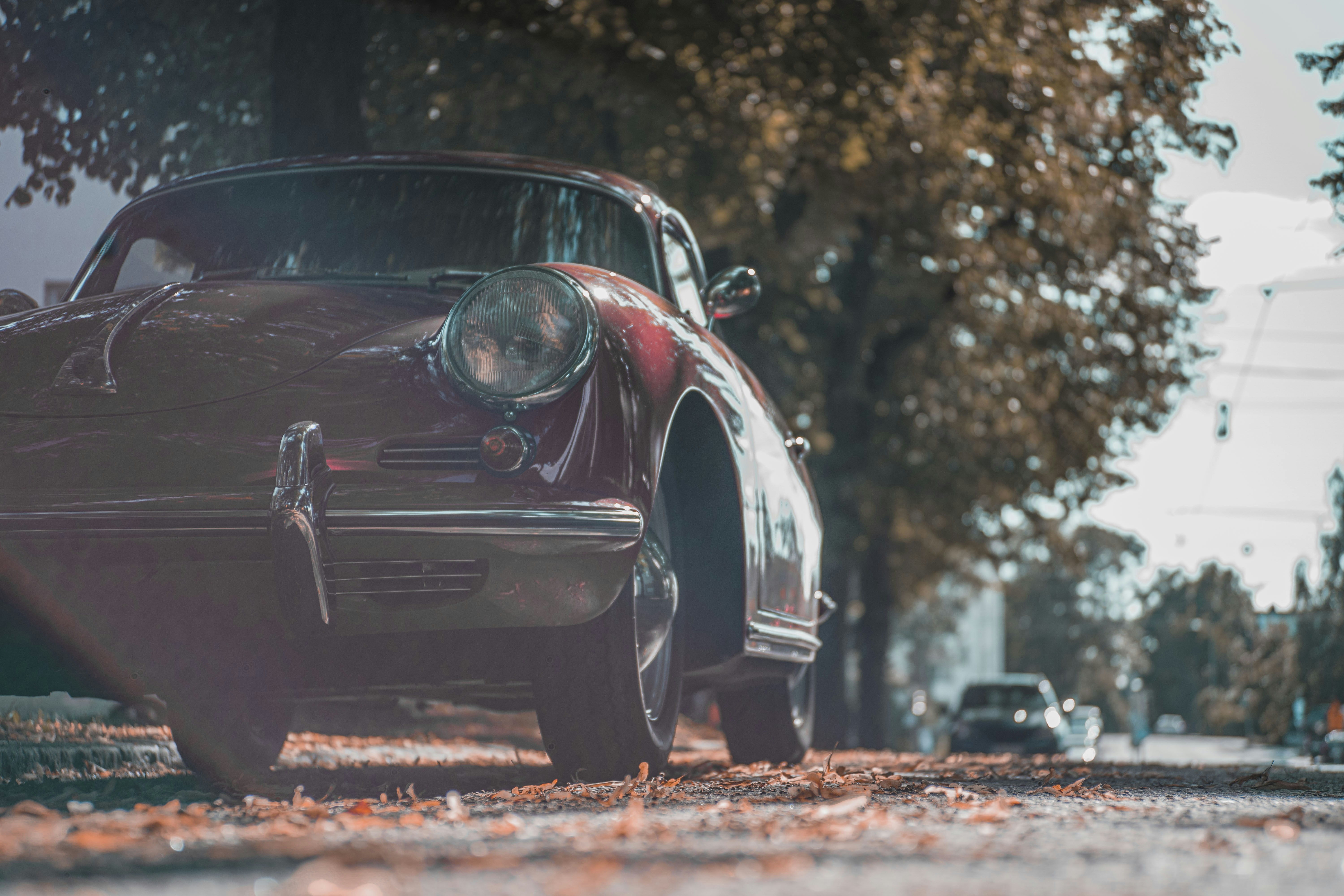 black car on brown leaves