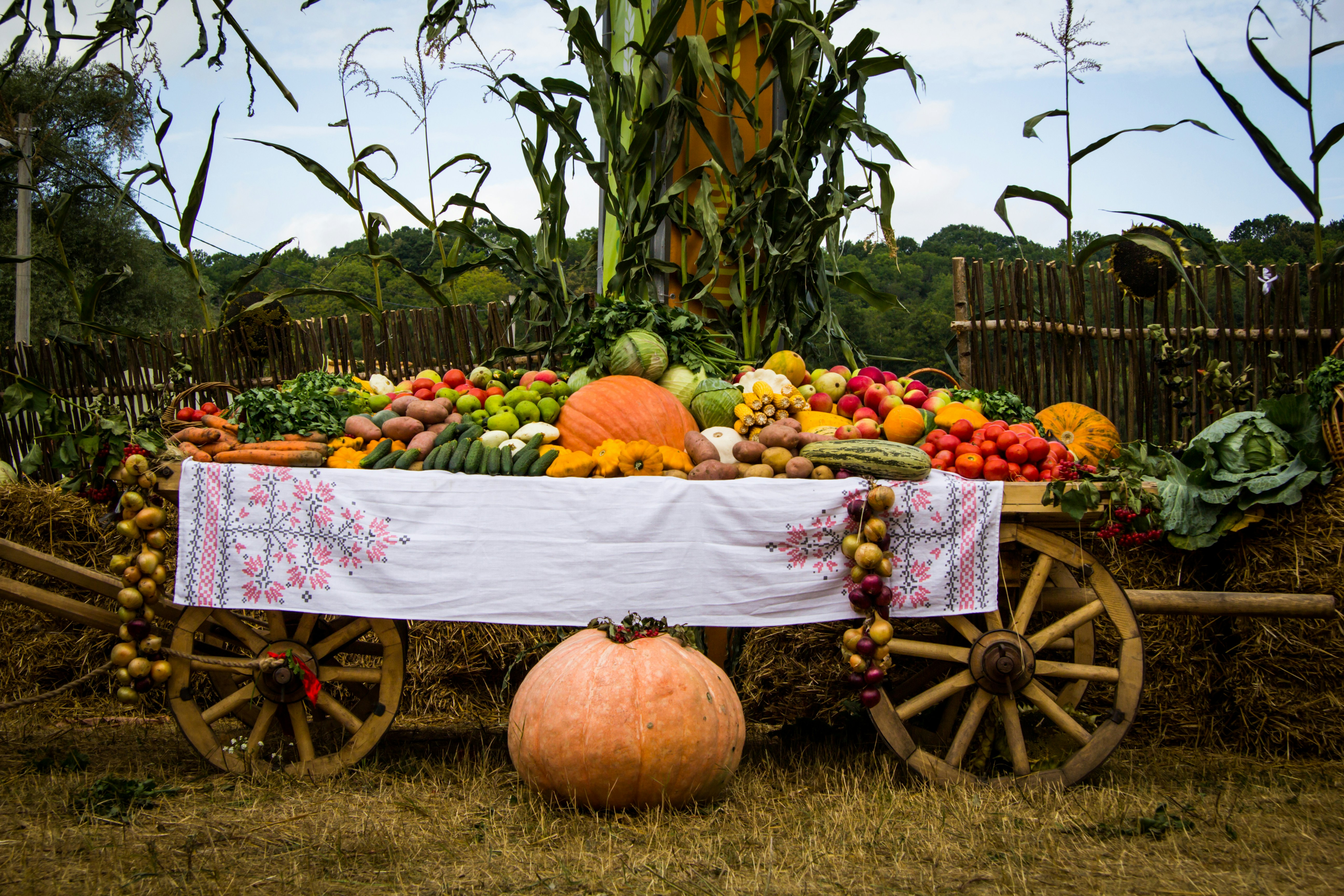 Heartfelt State Farm Birthday Wishes to Share Today