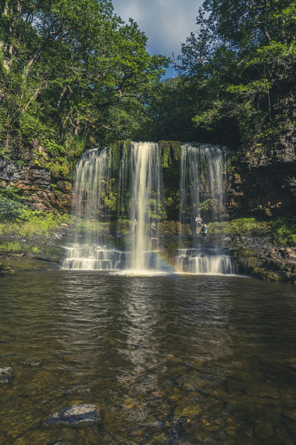 water falls in the middle of green trees