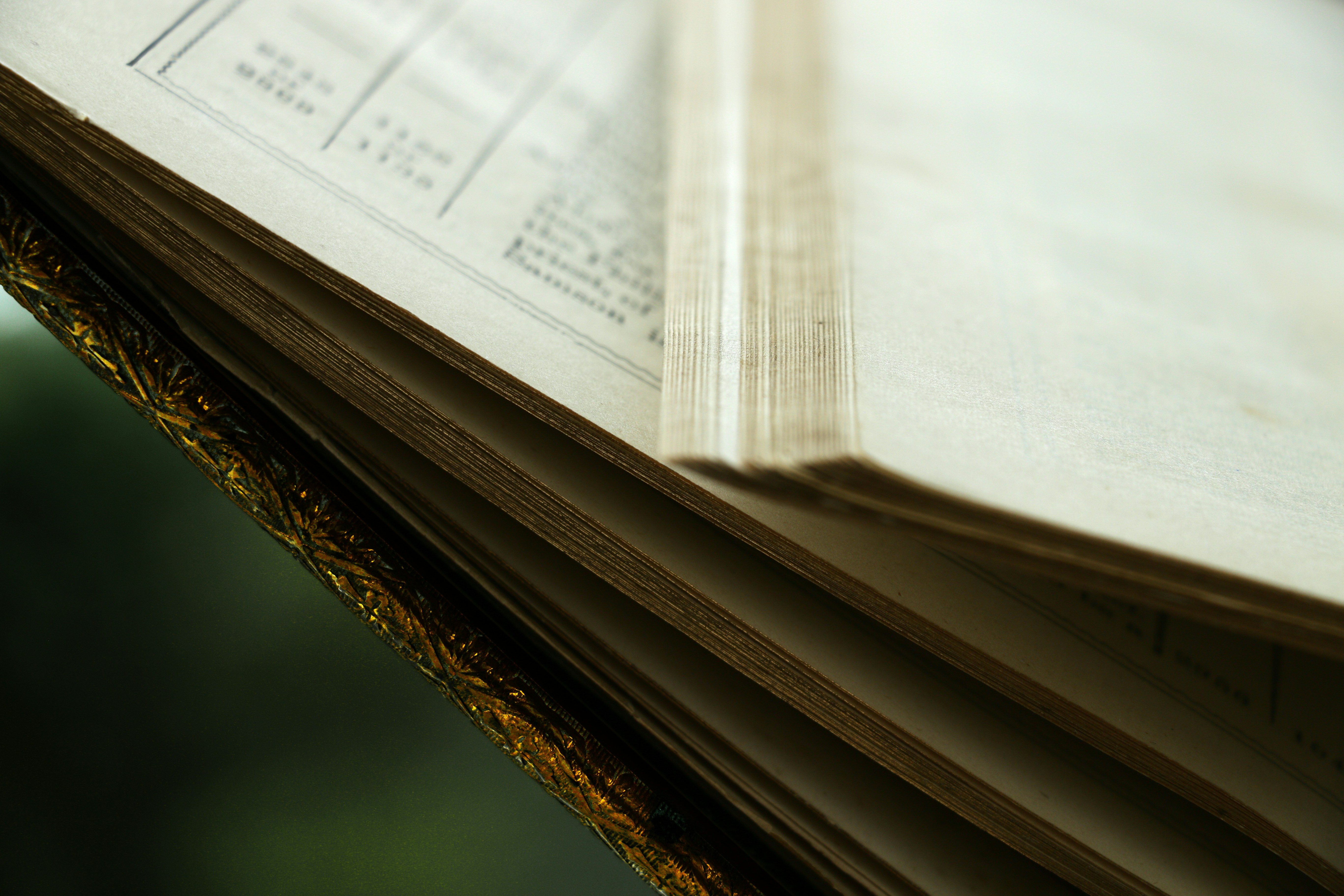 https://images.unsplash.com/photo-1627906732995-61e4c11260c8?ixid=M3w2MjYzNjJ8MHwxfHNlYXJjaHwxMHx8SmltbXklMjBKb2huJTI3c3xlbnwwfDB8fHwxNzMyMjM5MjA5fDA&ixlib=rb-4.0.3