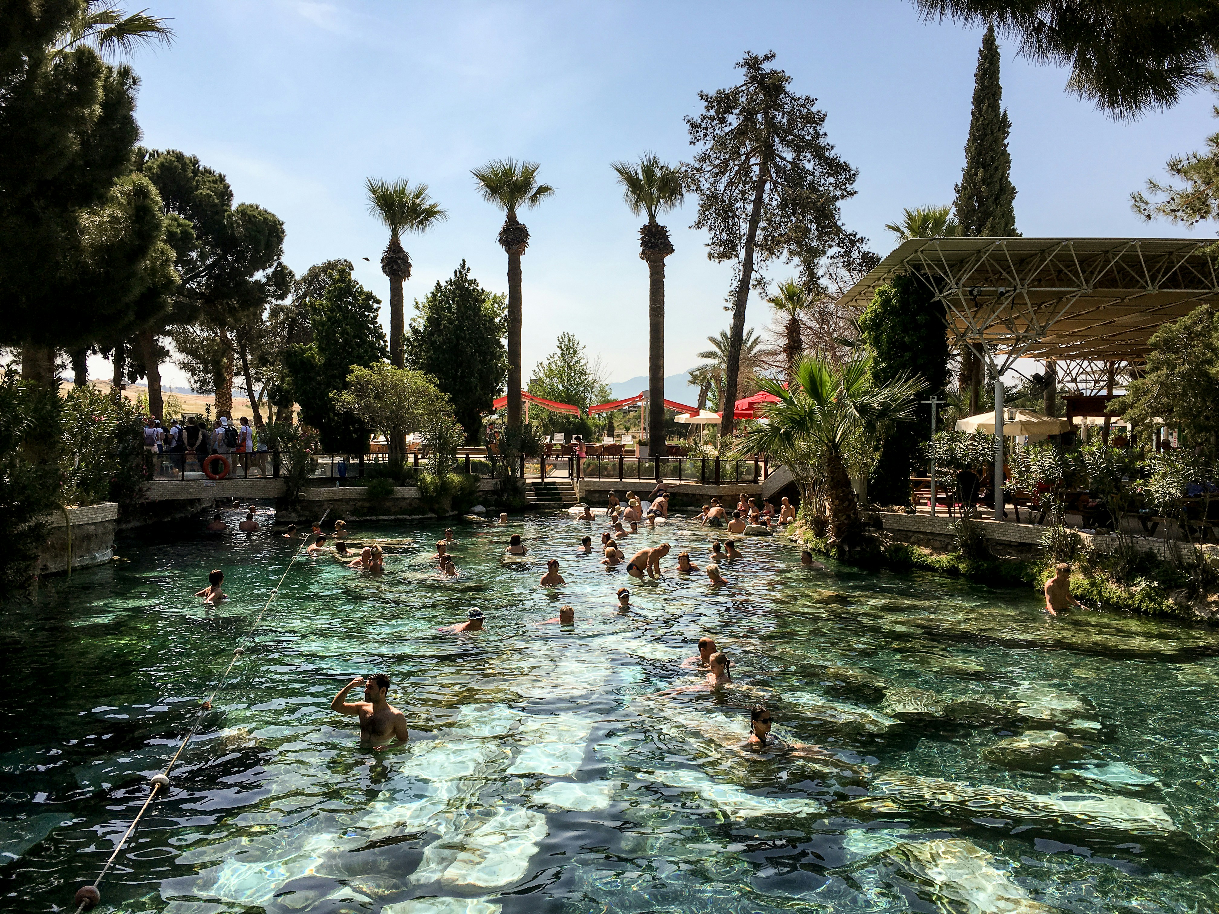 Crystal clear swimming pool with turquoise water surrounded by palm trees and sun loungers