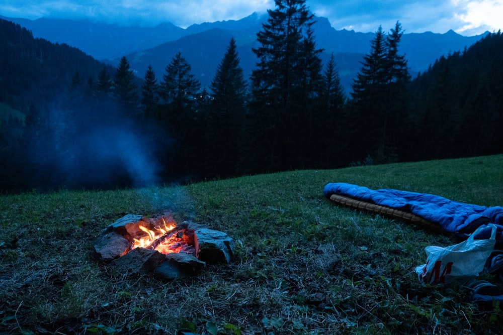 Lagerfeuer auf grünem Grasfeld in der Nähe von blauem Zelt und grünen Pinien tagsüber