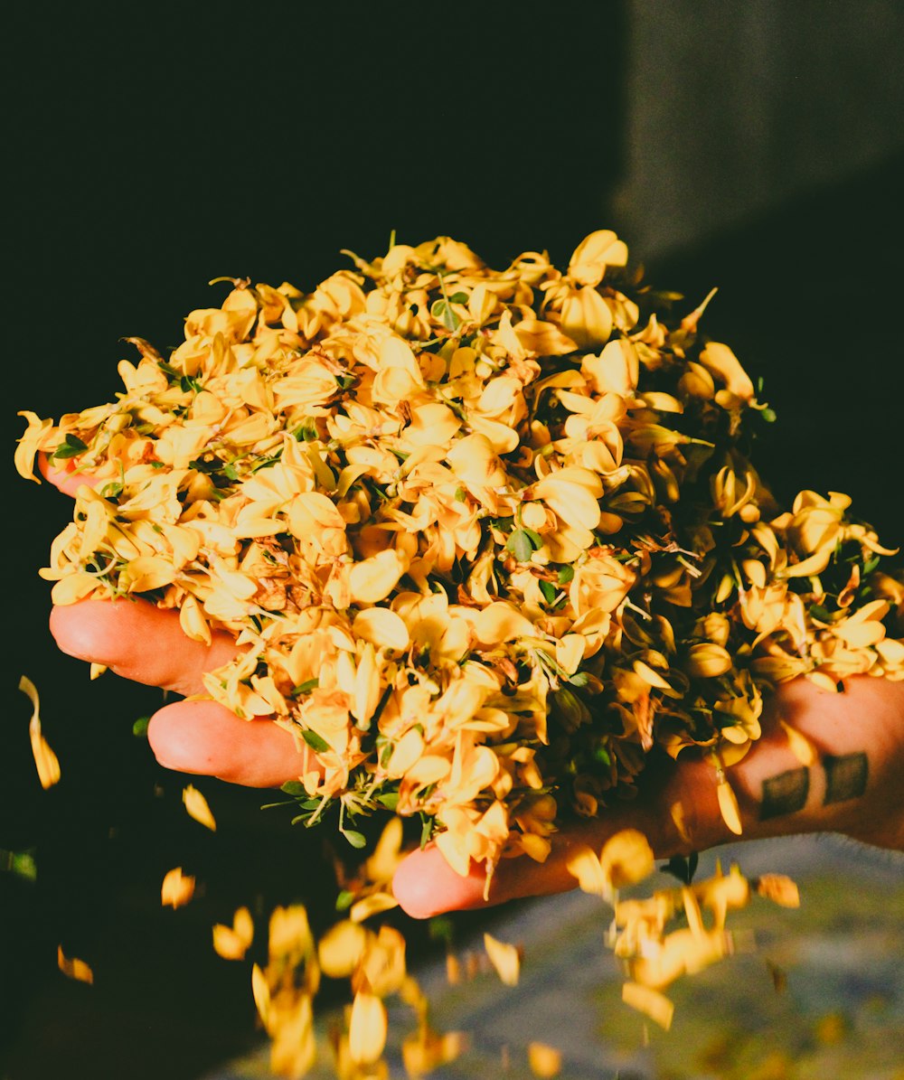 personne tenant une fleur blanche et jaune