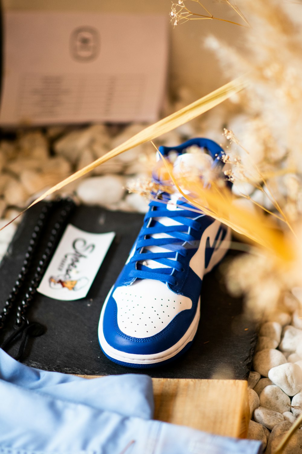 blue and white converse all star high top sneakers photo – Free Italia  Image on Unsplash