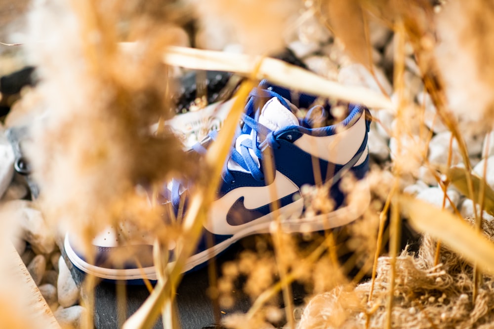 blue and white nike athletic shoes on brown dried grass