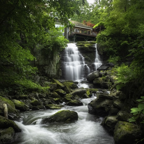 A house is nestled atop a cascading waterfall surrounded by lush, green forest. The water flows over moss-covered rocks creating a serene and tranquil scene.