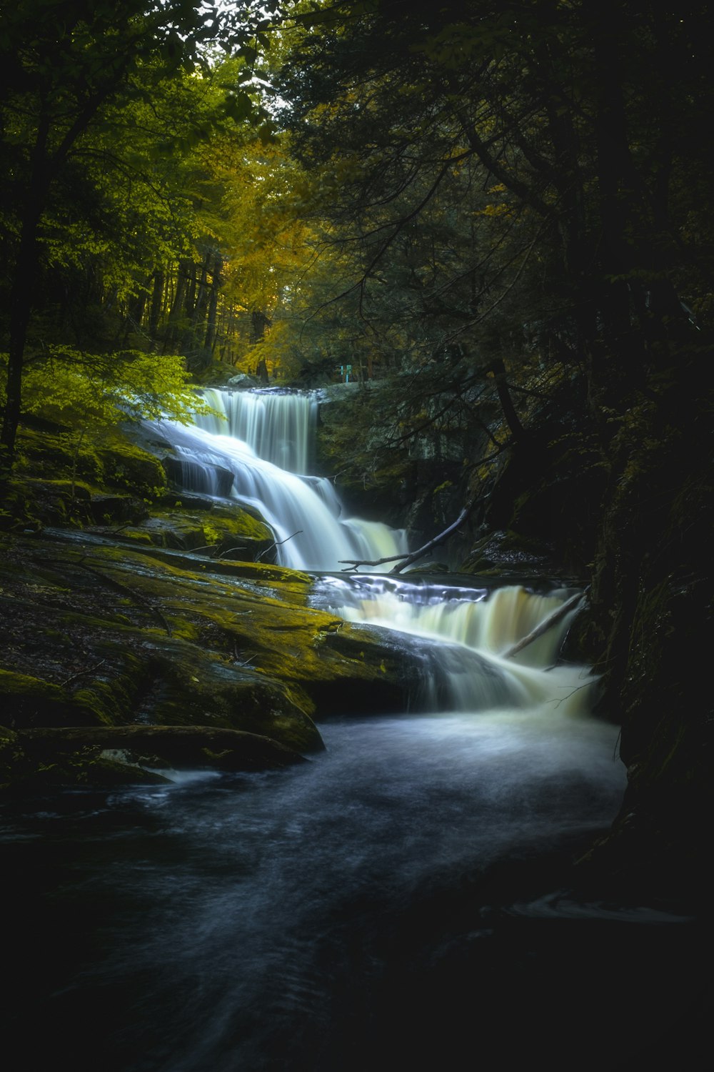 water falls in the middle of green trees