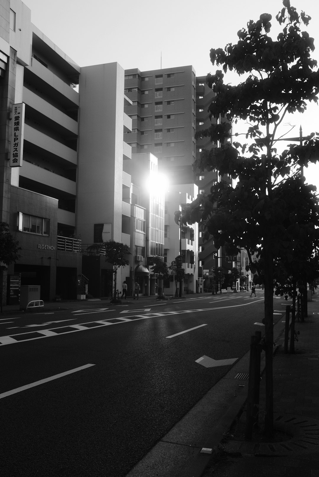 grayscale photo of city street