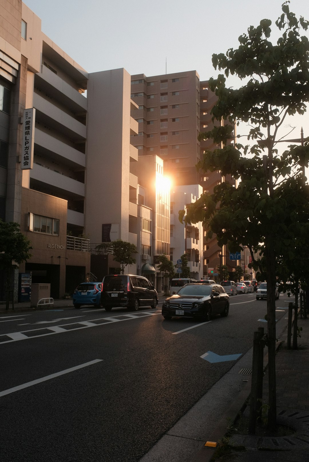 cars parked on side of the road near building during daytime