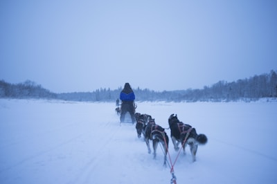 Close-up of eager kids getting instructions from an experienced musher.