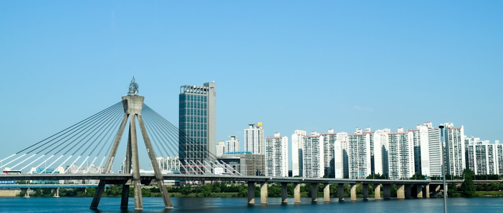 white and blue high rise buildings near body of water during daytime