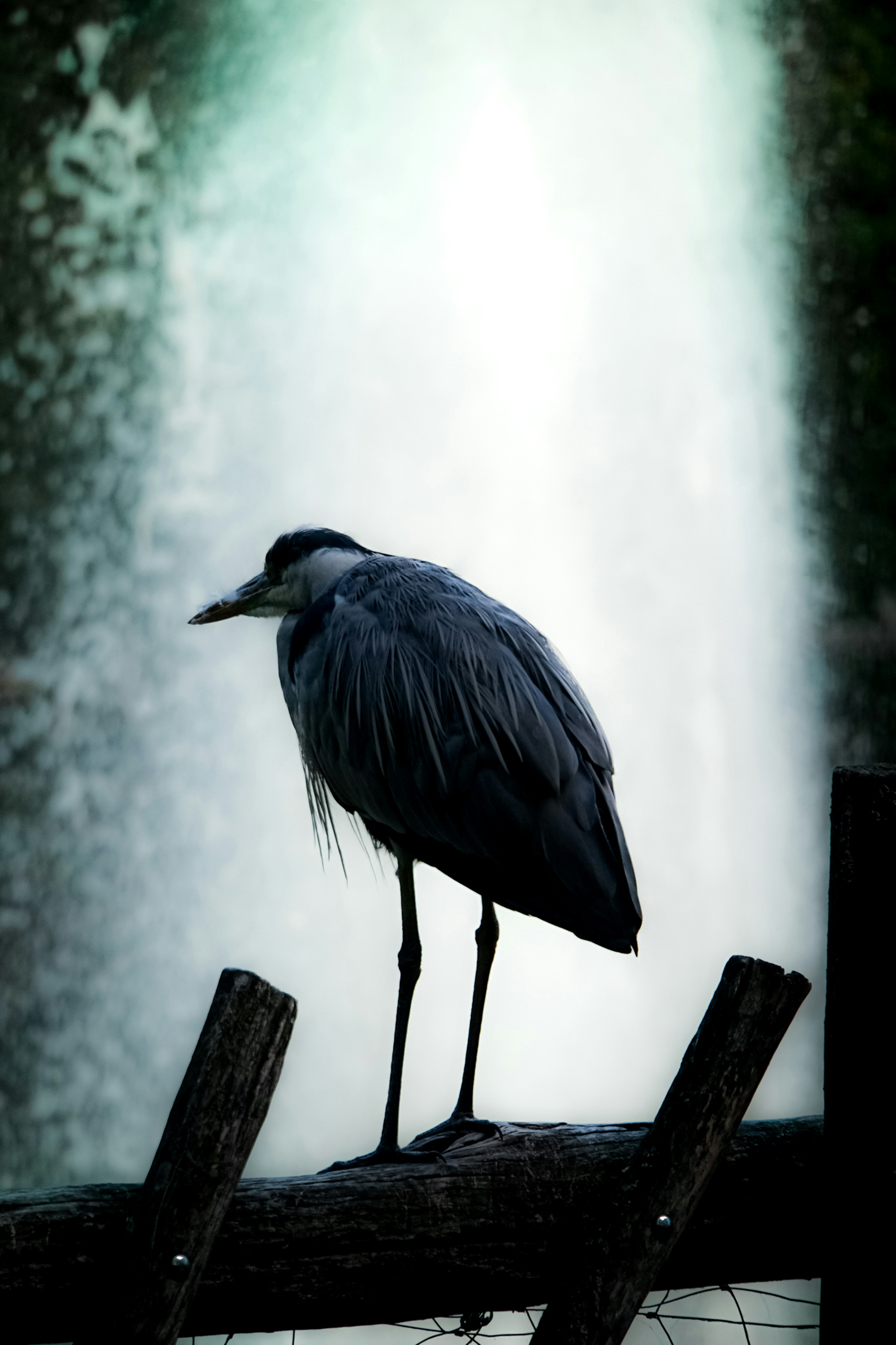 Photo by henrikladewig