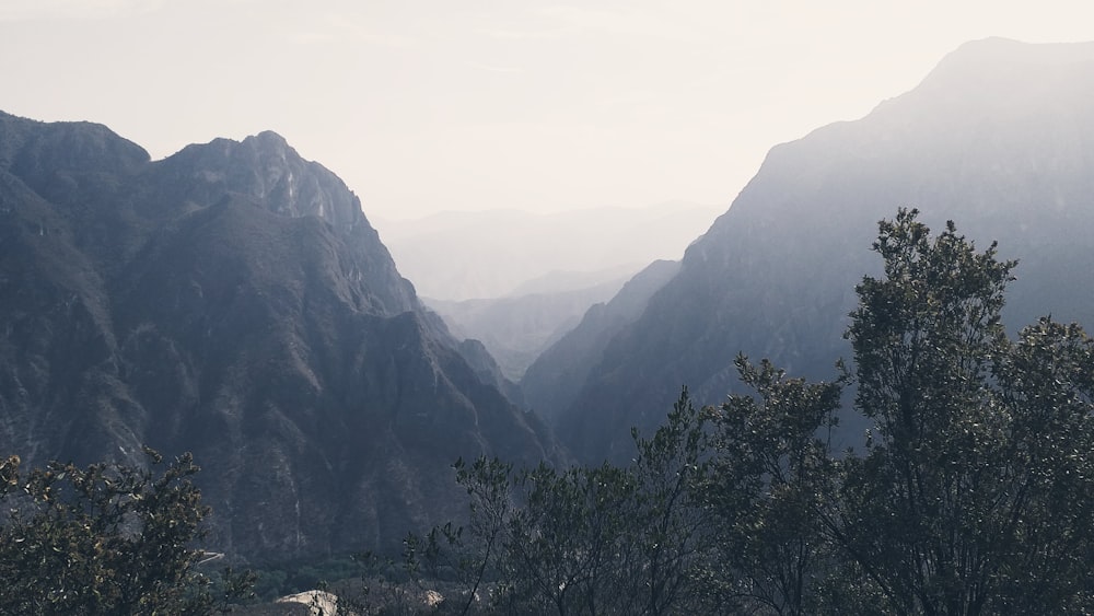 green trees on mountain during daytime