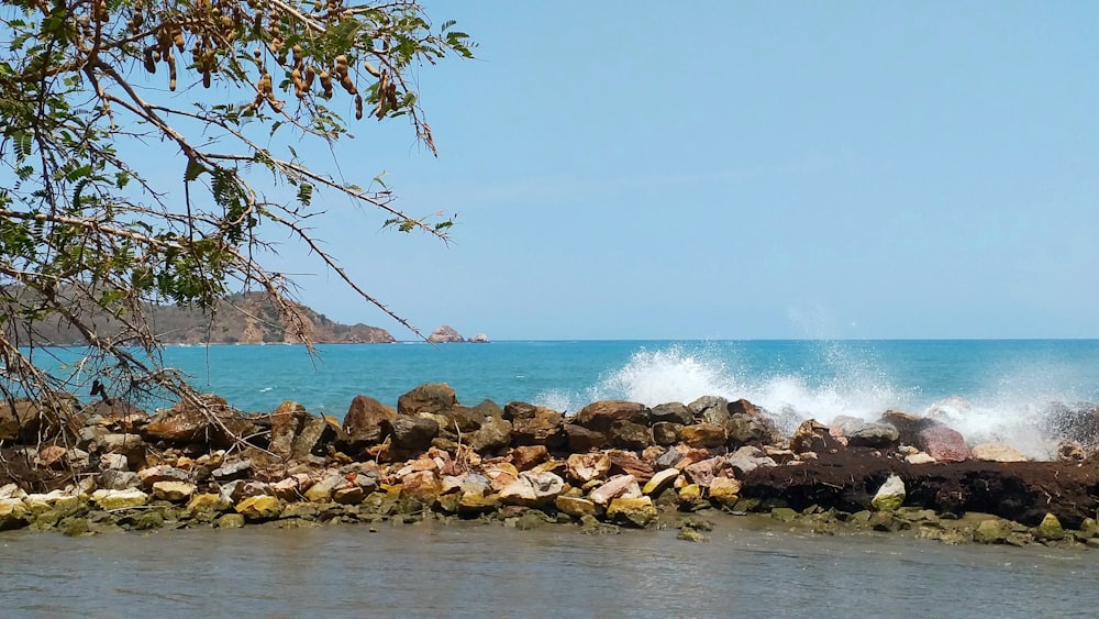 brown rocks on sea shore during daytime