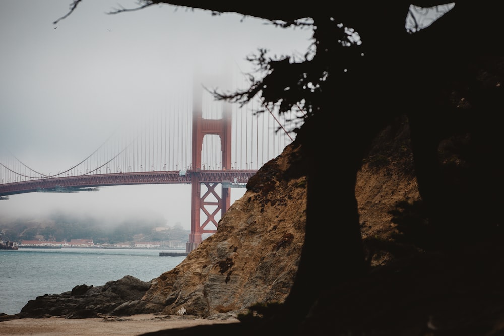 golden gate bridge in grayscale photography