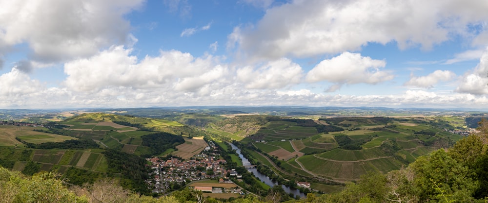 Luftaufnahme von grünen Bäumen und Bergen tagsüber