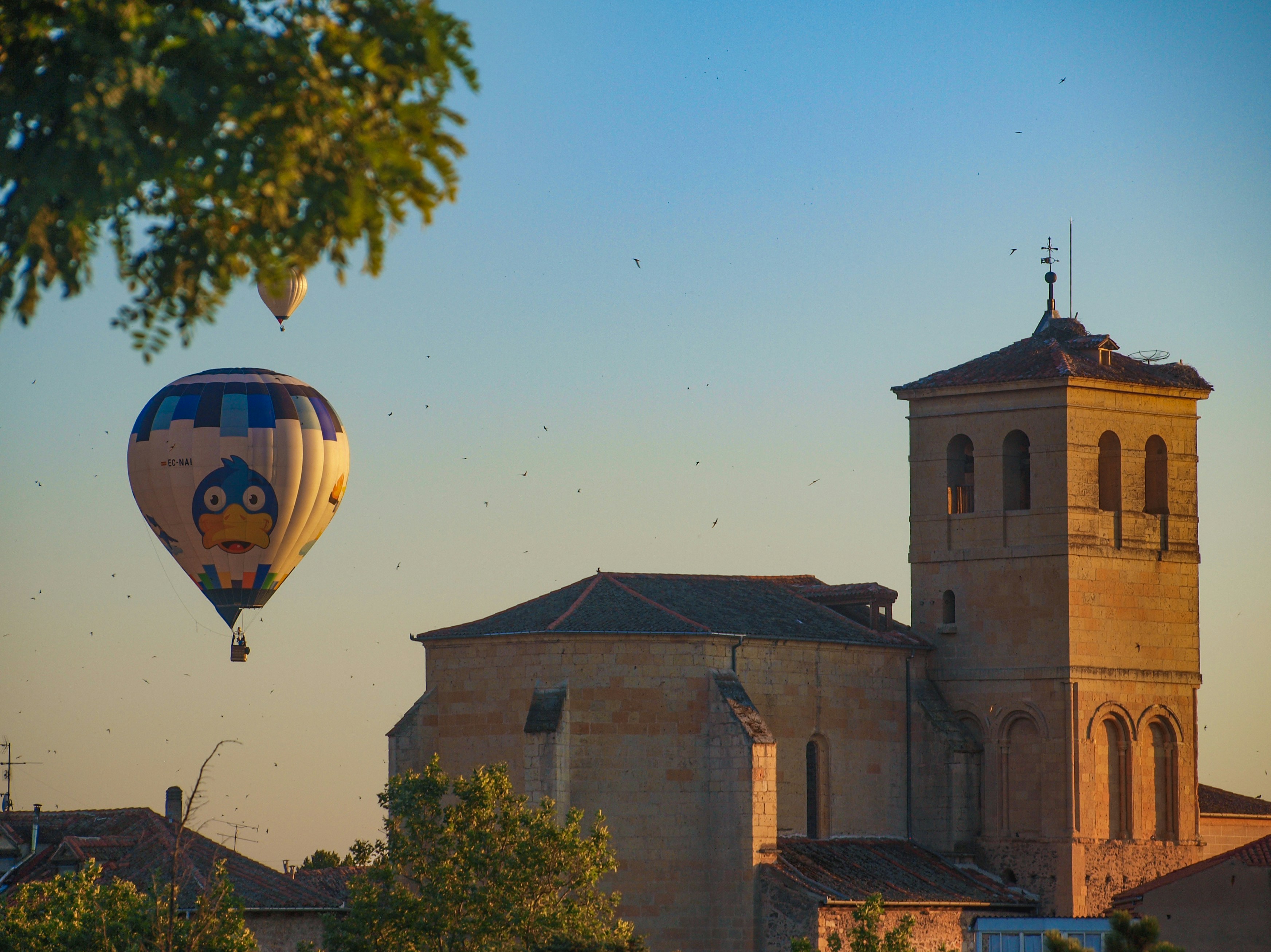 brown and white hot air balloon
