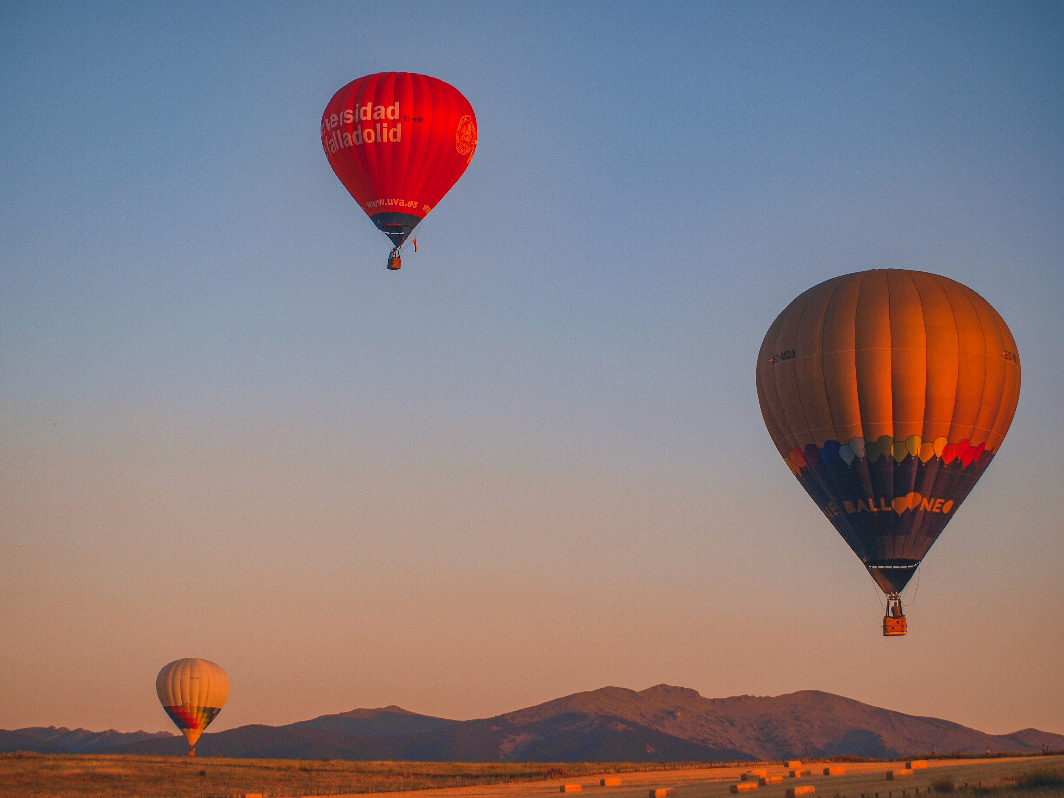 Photo by annakurasova