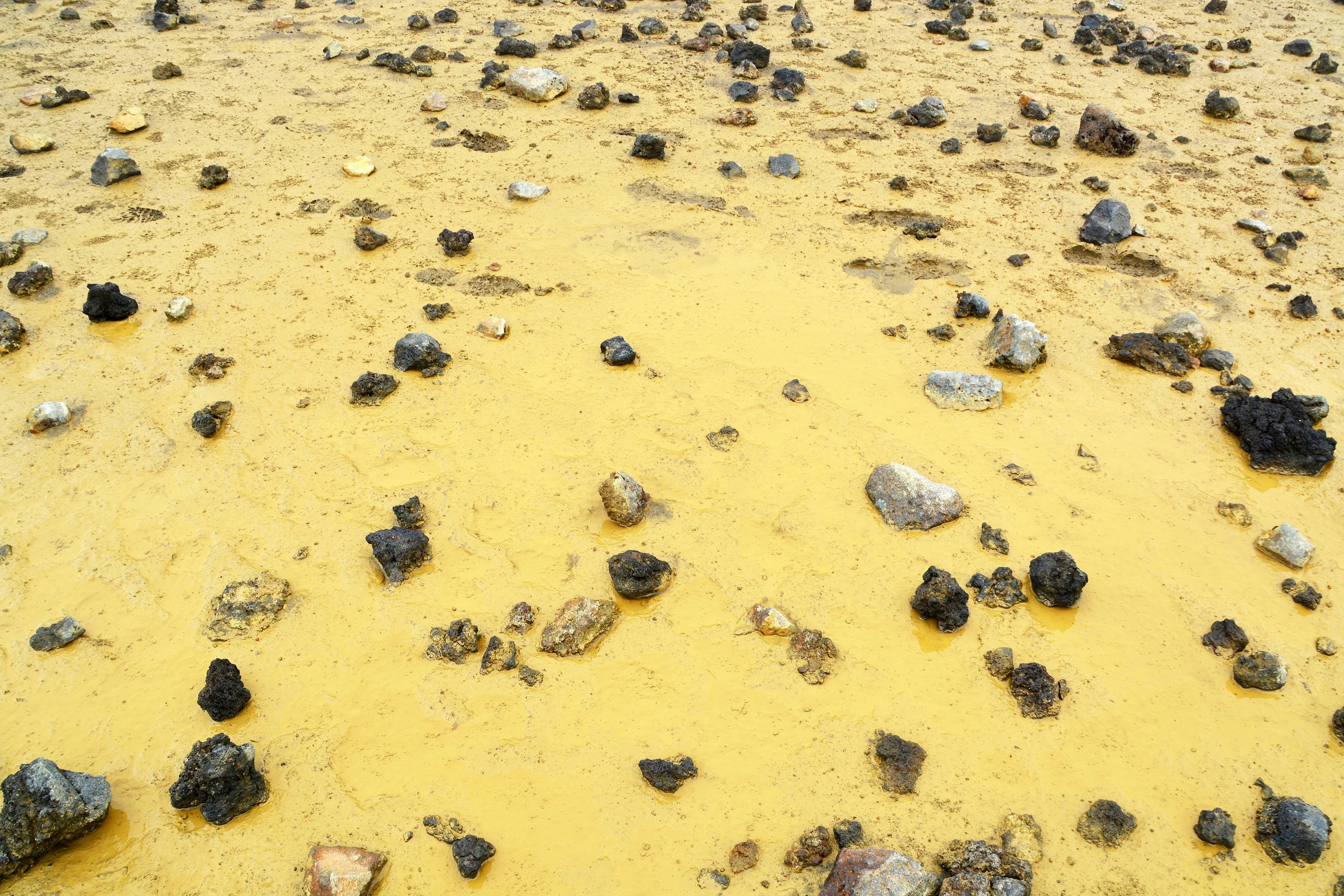 brown and black stones on brown sand during daytime