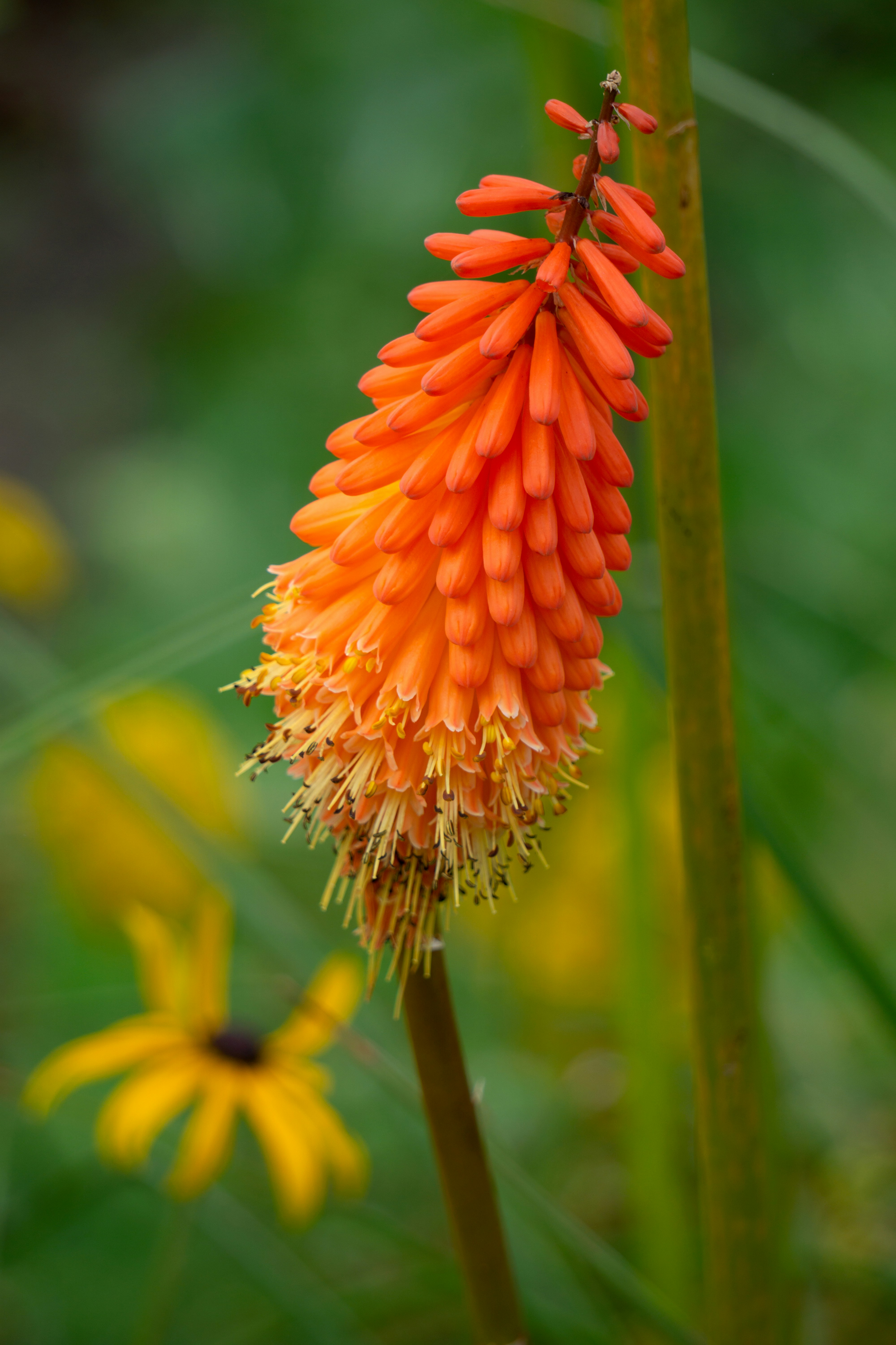 Photo by sofiavocado