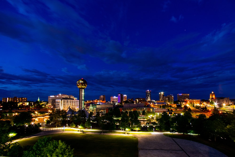 city skyline during night time