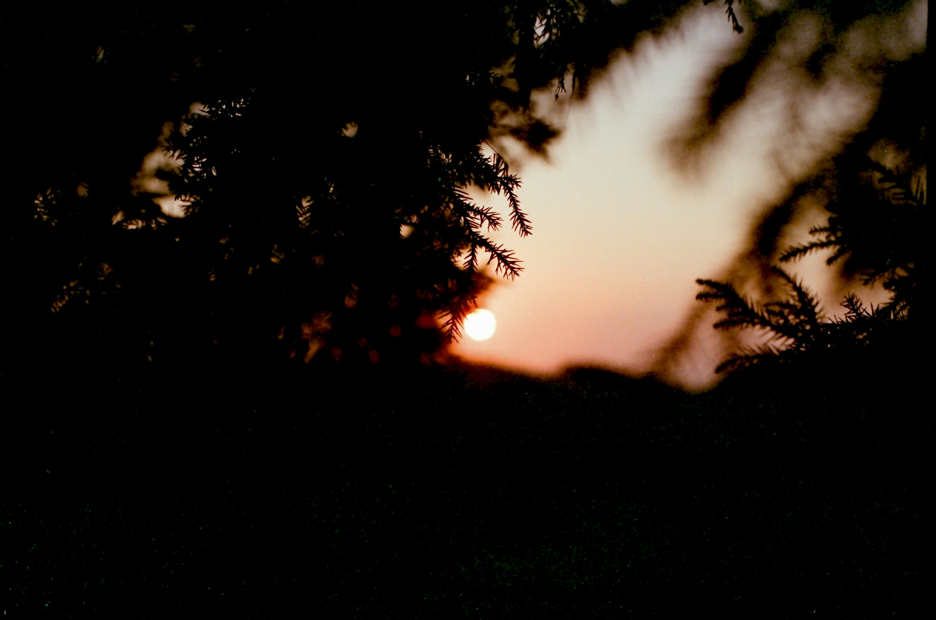 Photo by nat0408