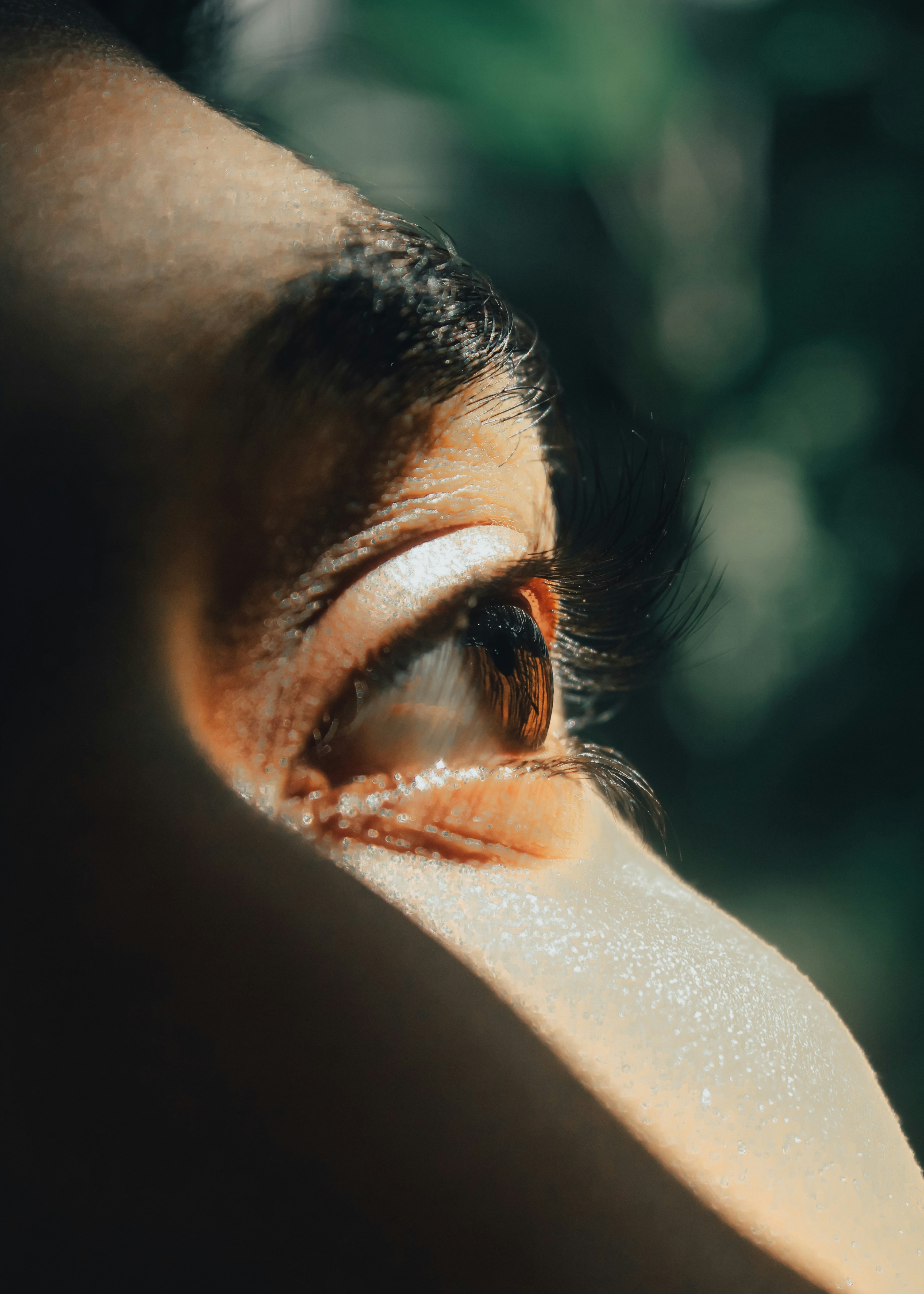 Eyebrow Services and Treatments