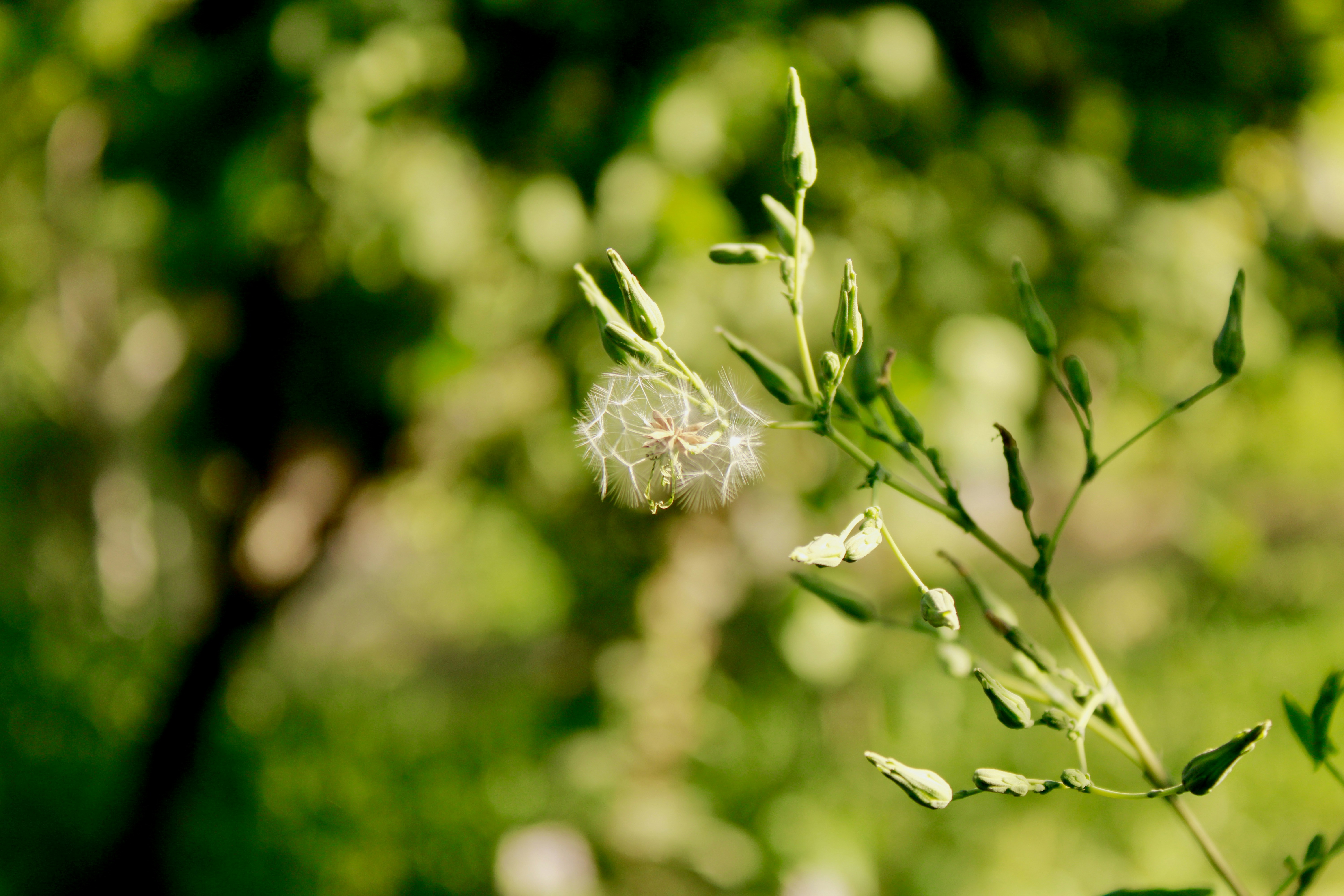 Photo by nedasoltanih