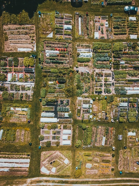 Aerial view of city buildings and streets representing a local neighborhood business landscape