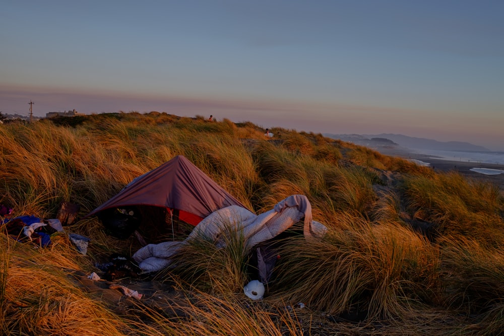 woman in gray long sleeve shirt lying on red and black tent on green grass field