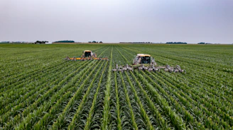 green grass field under white sky during daytime