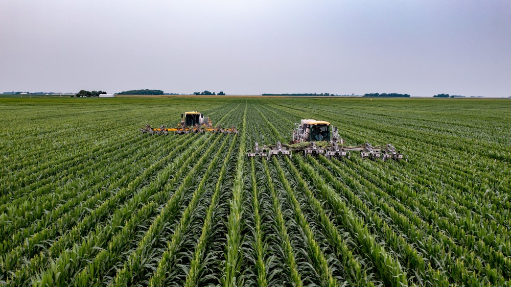 Ghanaian Agritech firm secures $1.5 million in seed funding post image