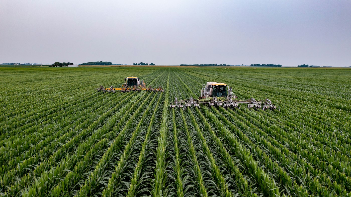Tractors working long rows of young crops