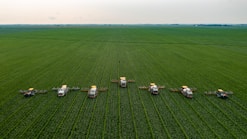 white and black houses on green grass field under white sky during daytime