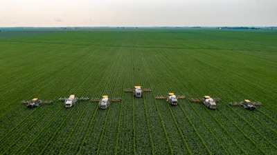 white and black houses on green grass field under white sky during daytime