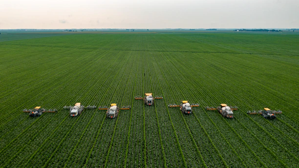 white and black houses on green grass field under white sky during daytime