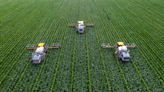 yellow and black heavy equipment on green field during daytime