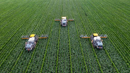 Three agricultural machines are evenly spaced across a vast, lush green field, likely a crop such as corn or maize. The machines are equipped with sprayers and appear to be engaged in agricultural work, perhaps spraying fertilizers or pesticides. The rows of crops are neatly aligned, creating a pattern that emphasizes the scale and organization of the farmland.