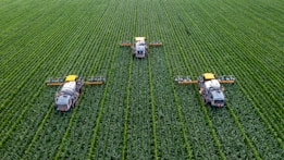 Three agricultural machines are evenly spaced across a vast, lush green field, likely a crop such as corn or maize. The machines are equipped with sprayers and appear to be engaged in agricultural work, perhaps spraying fertilizers or pesticides. The rows of crops are neatly aligned, creating a pattern that emphasizes the scale and organization of the farmland.