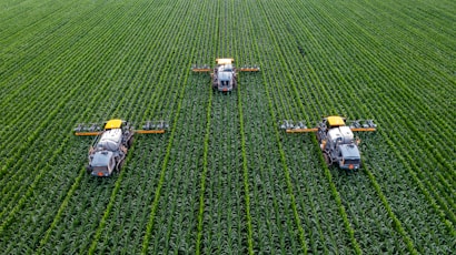 Three agricultural machines are evenly spaced across a vast, lush green field, likely a crop such as corn or maize. The machines are equipped with sprayers and appear to be engaged in agricultural work, perhaps spraying fertilizers or pesticides. The rows of crops are neatly aligned, creating a pattern that emphasizes the scale and organization of the farmland.