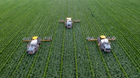 Three agricultural machines are evenly spaced across a vast, lush green field, likely a crop such as corn or maize. The machines are equipped with sprayers and appear to be engaged in agricultural work, perhaps spraying fertilizers or pesticides. The rows of crops are neatly aligned, creating a pattern that emphasizes the scale and organization of the farmland.
