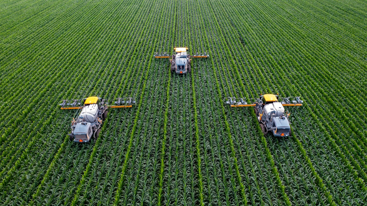Sustainable Farming: The Future of Egyptian Agriculture